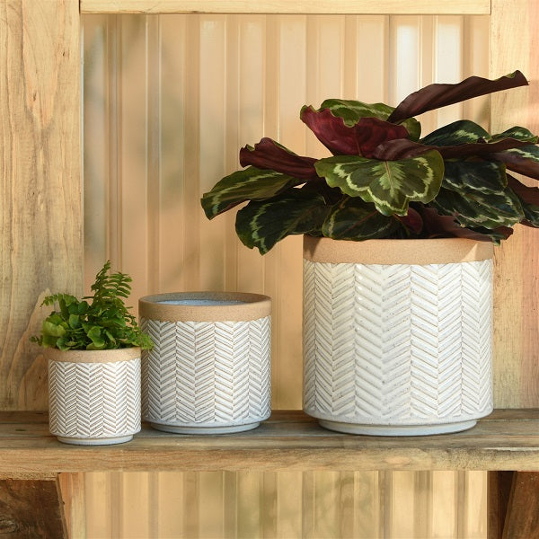 Chevron Pot image 1