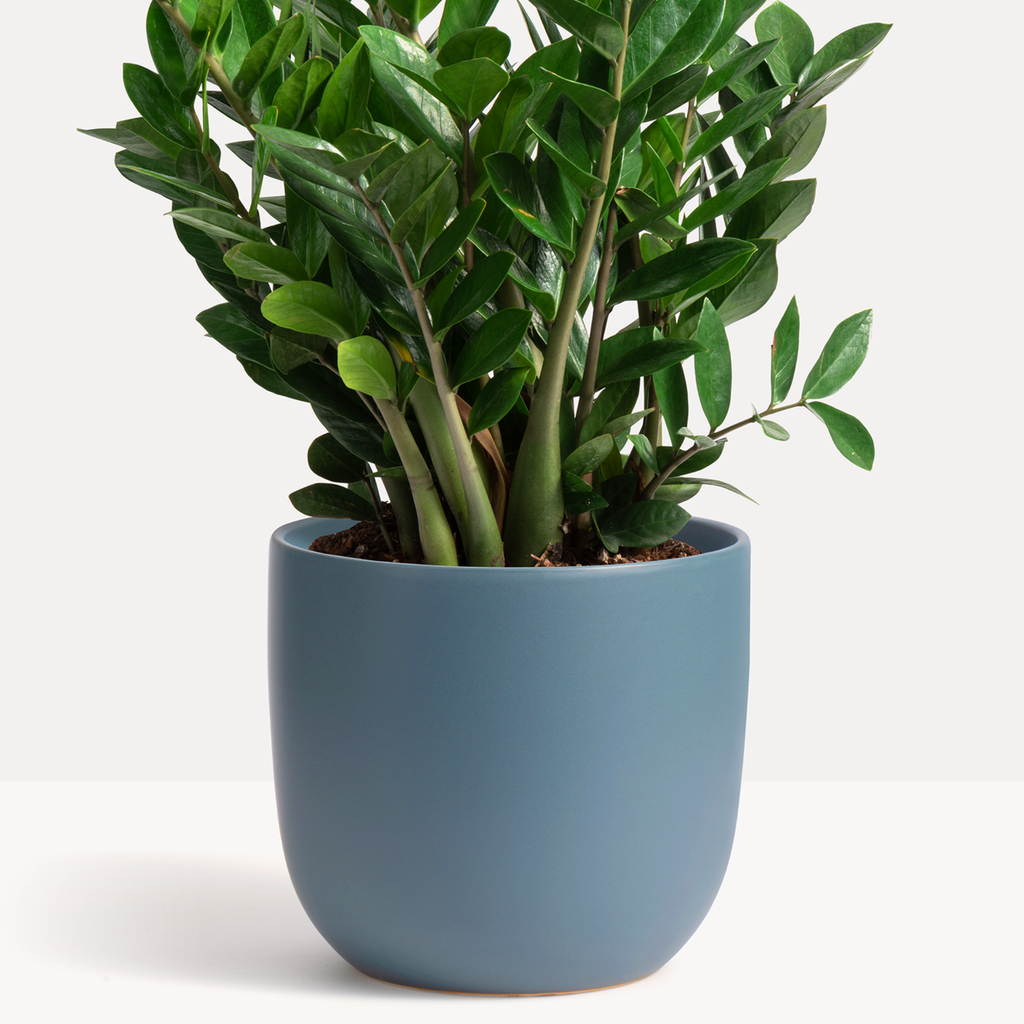 Ceramic Egg Planter image 3