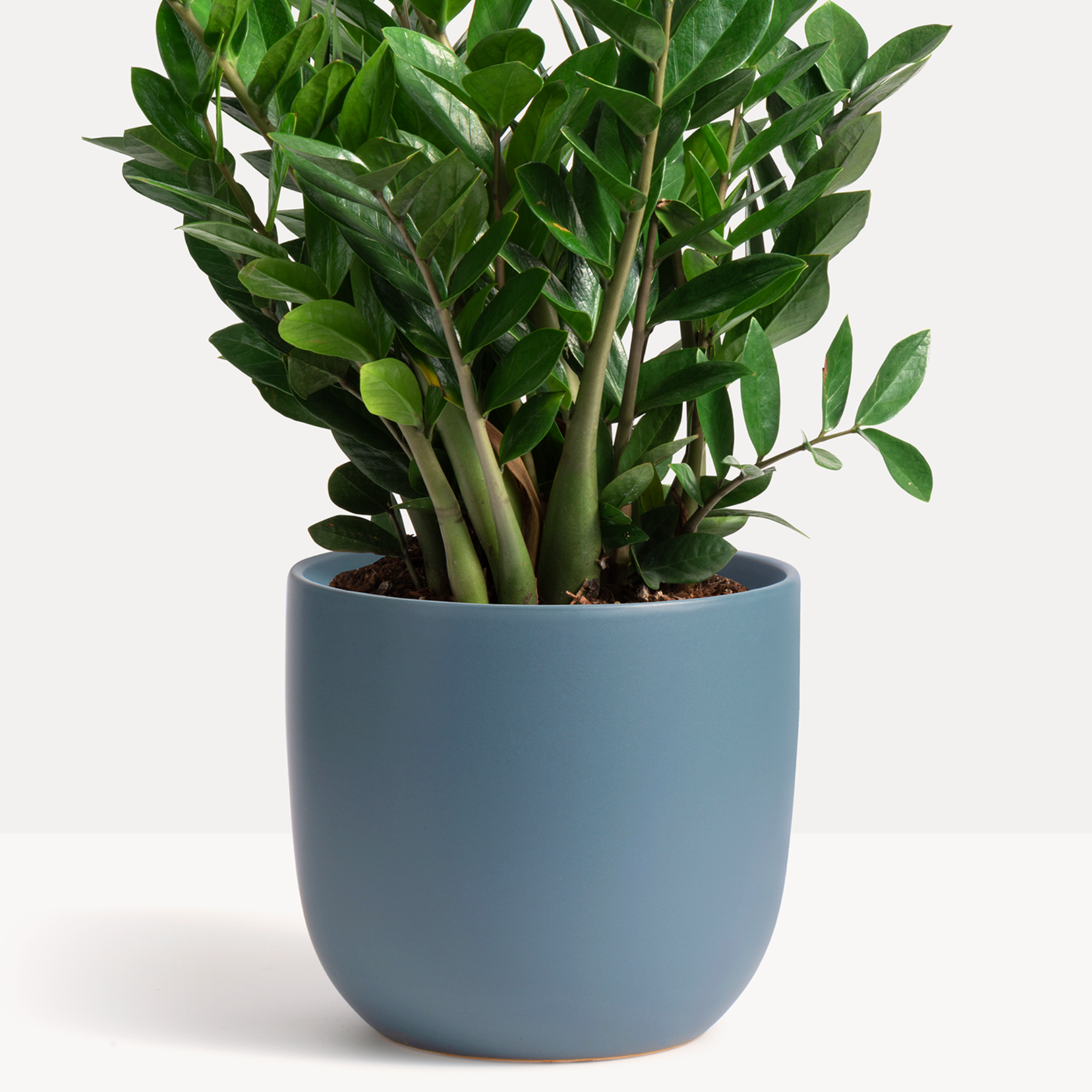 Ceramic Egg Planter image 3
