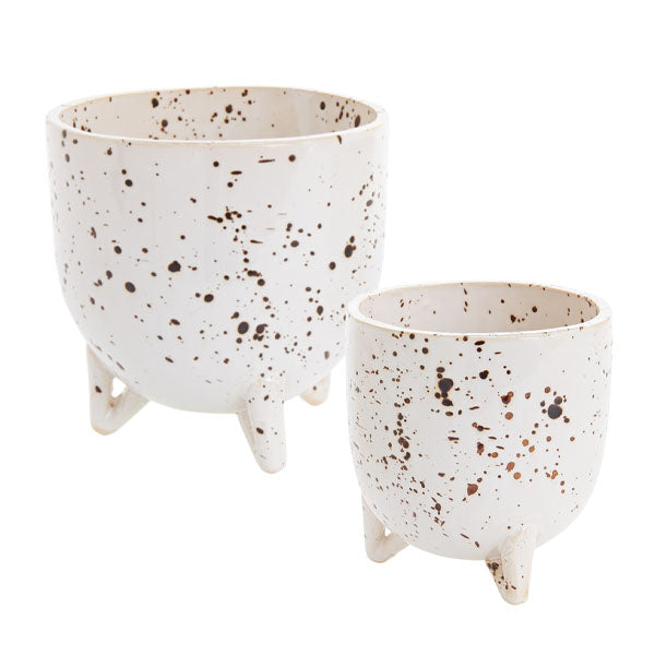 Reid Pot image 0