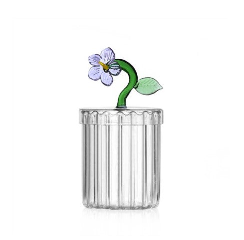 Botanica Optical Box image 0