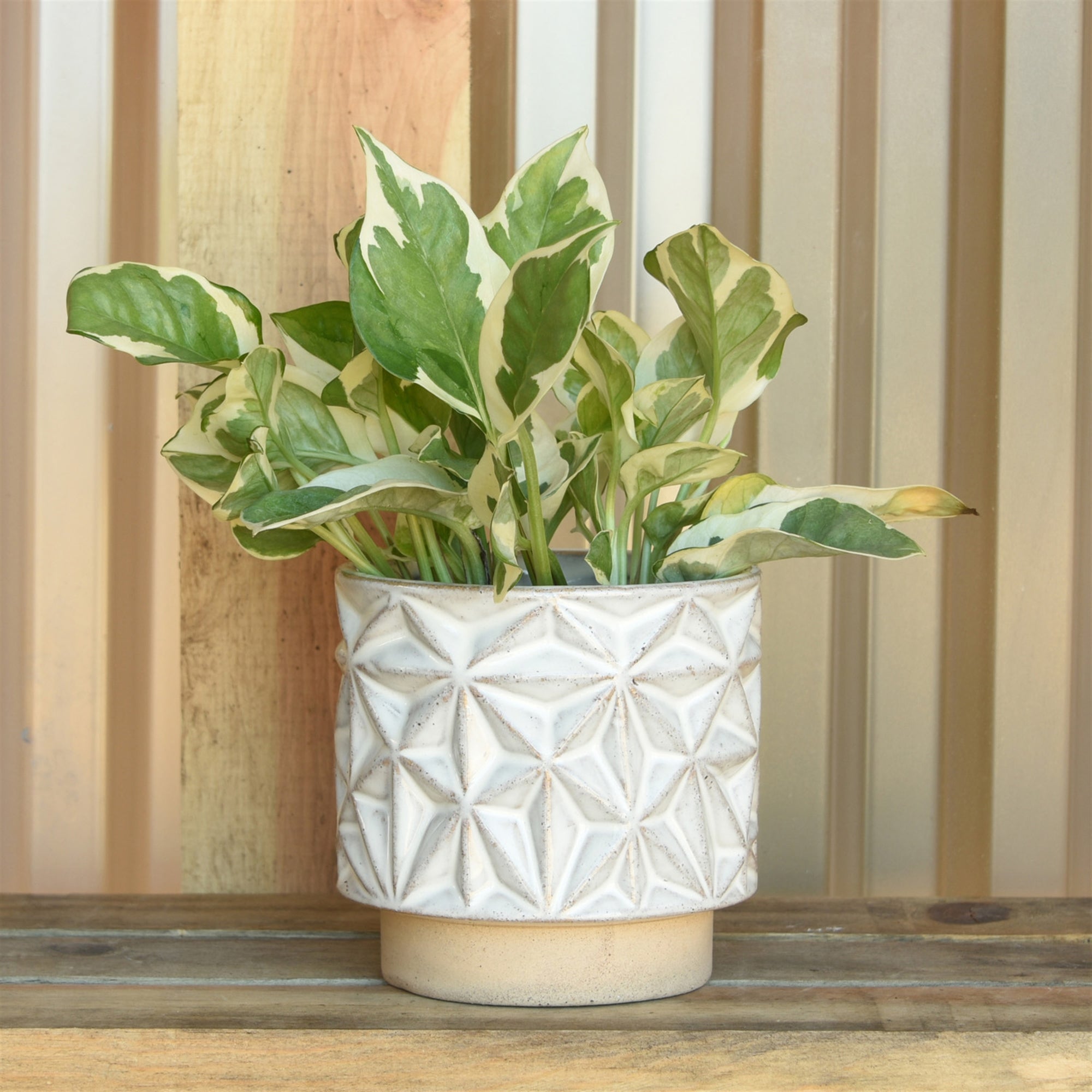 Ramos Geometric Cachepot image 1